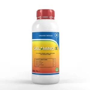 Gelamino-X